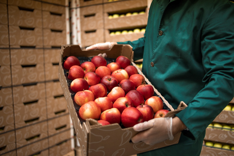 HACCP Essential Skills Training